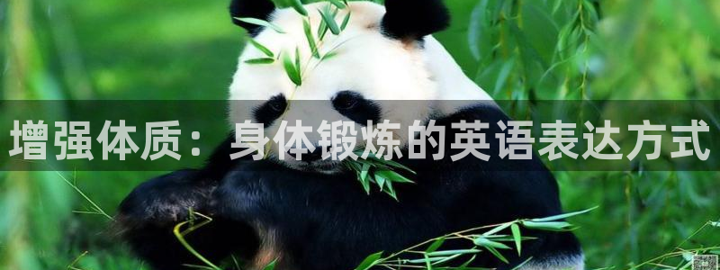 风暴体育直播：增强体质：身体锻炼的英语表达方式