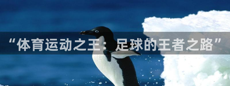 风暴体育下载安装：“体育运动之王：足球的王者之路”