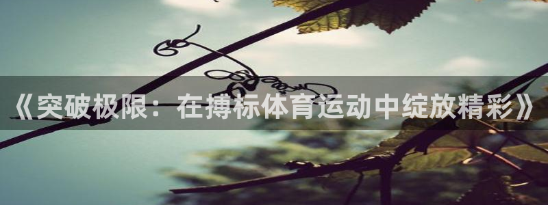 风暴体育app：《突破极限：在搏标体育运动中绽放精彩》