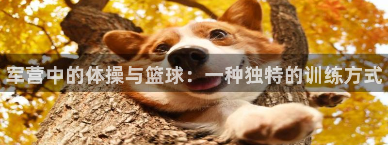 风暴体育下载安装：军营中的体操与篮球：一种独特的训练方式